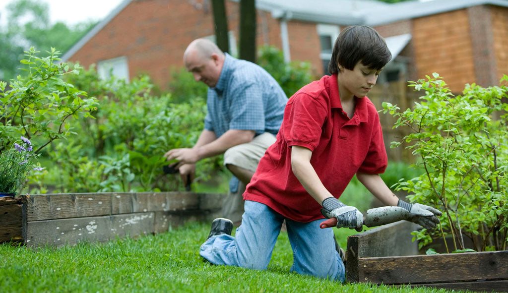 Create A Pollinator Victory Garden, With Kim Eierman