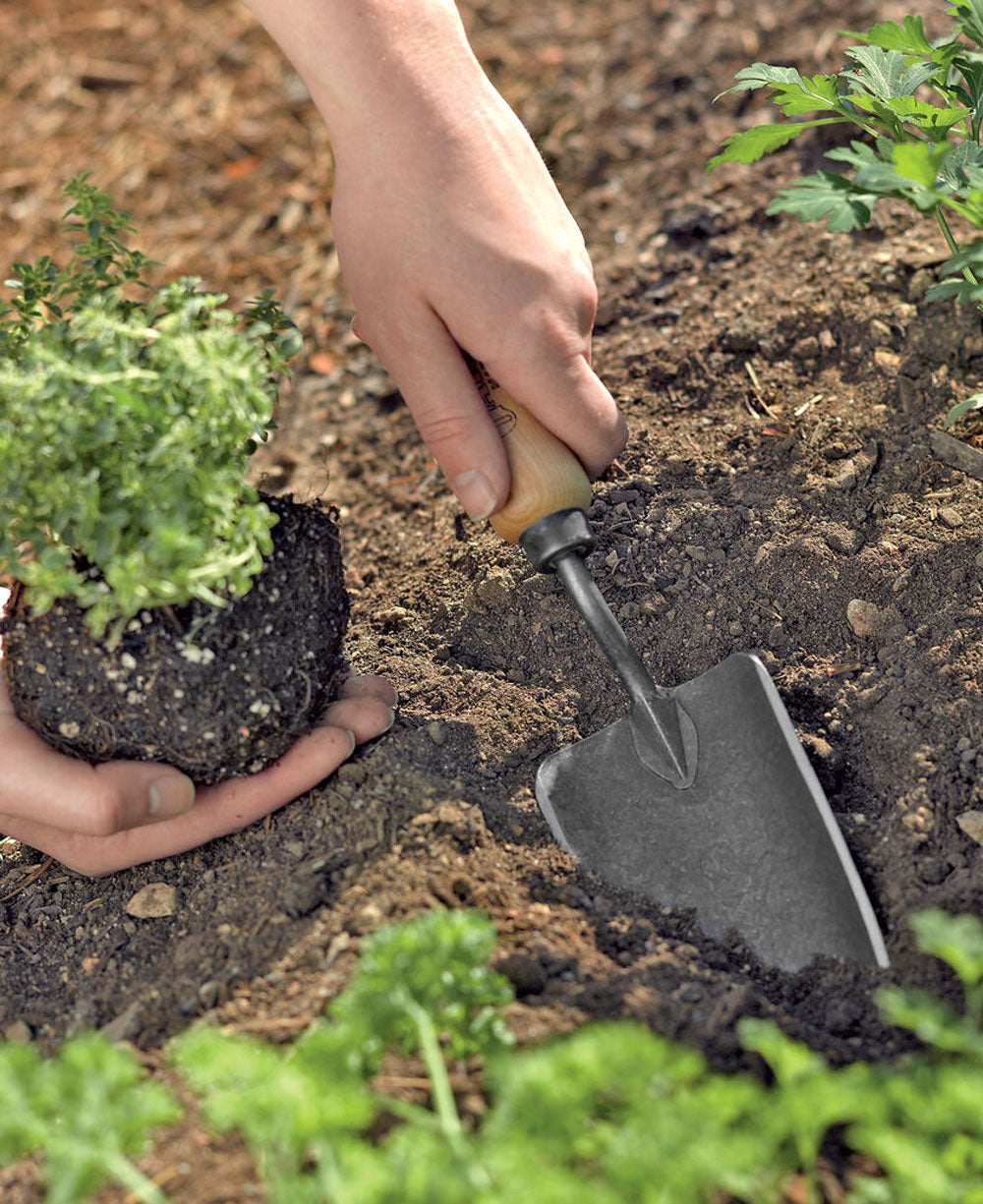 Gardener’s Lifetime Trowel amazone