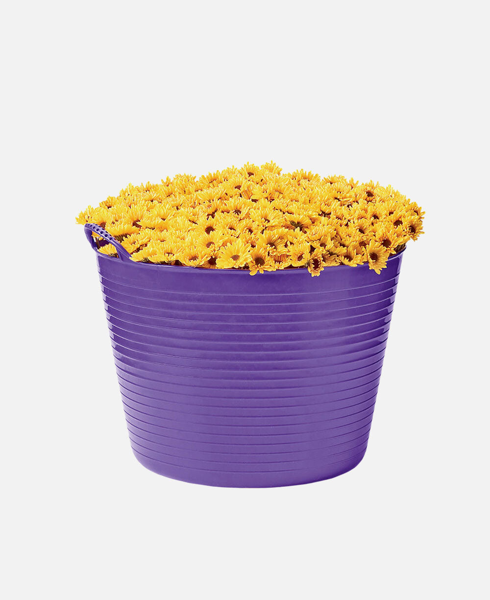 Colorful Tubtrug, 11 Gallon sale