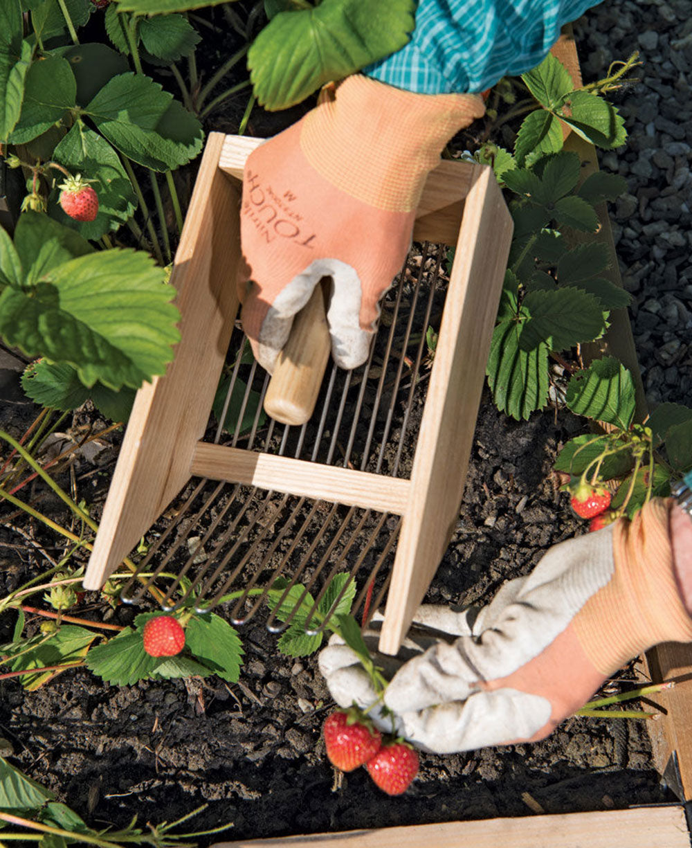 Wood Berry Picker